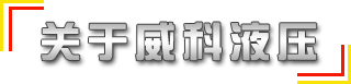 供應國標、非標（biāo）315噸液壓機